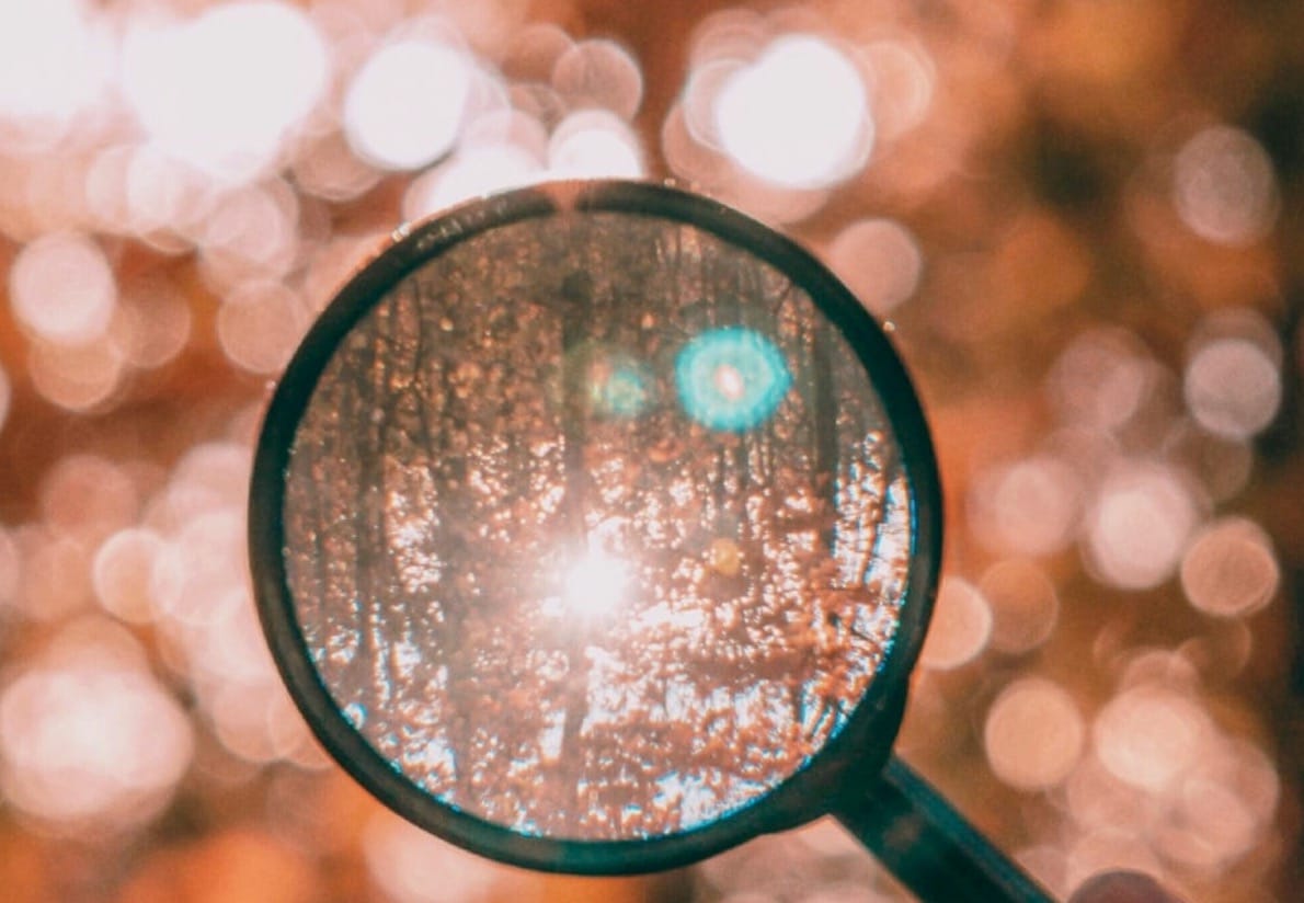 Beyond Outcomes: The Power of Exploration