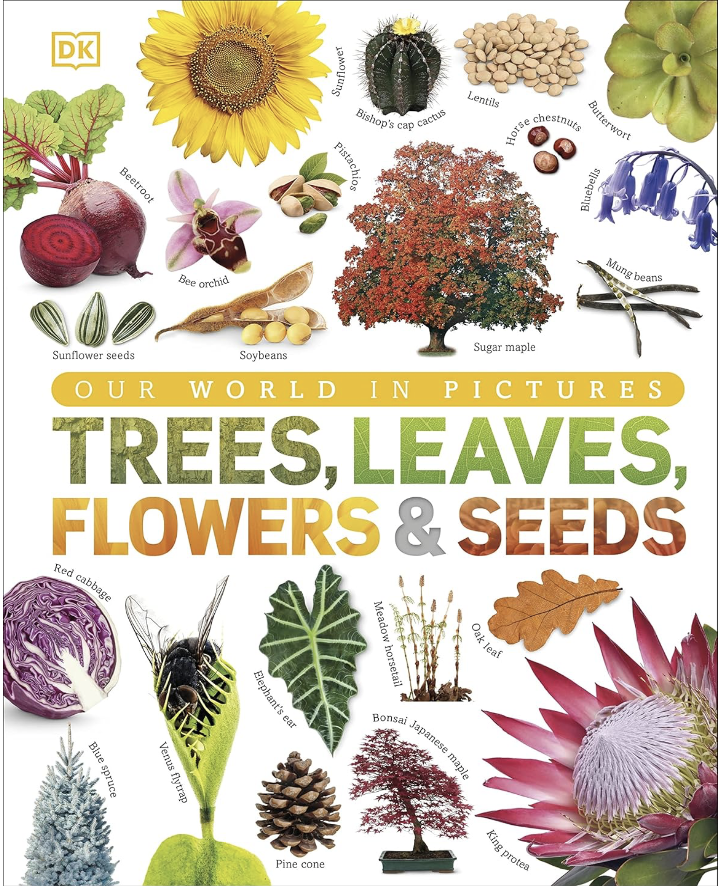 Trees, leaves, flowers and seeds book