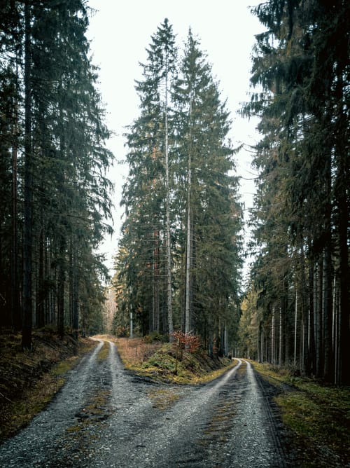 Beyond Outcomes: The Power of Exploration
